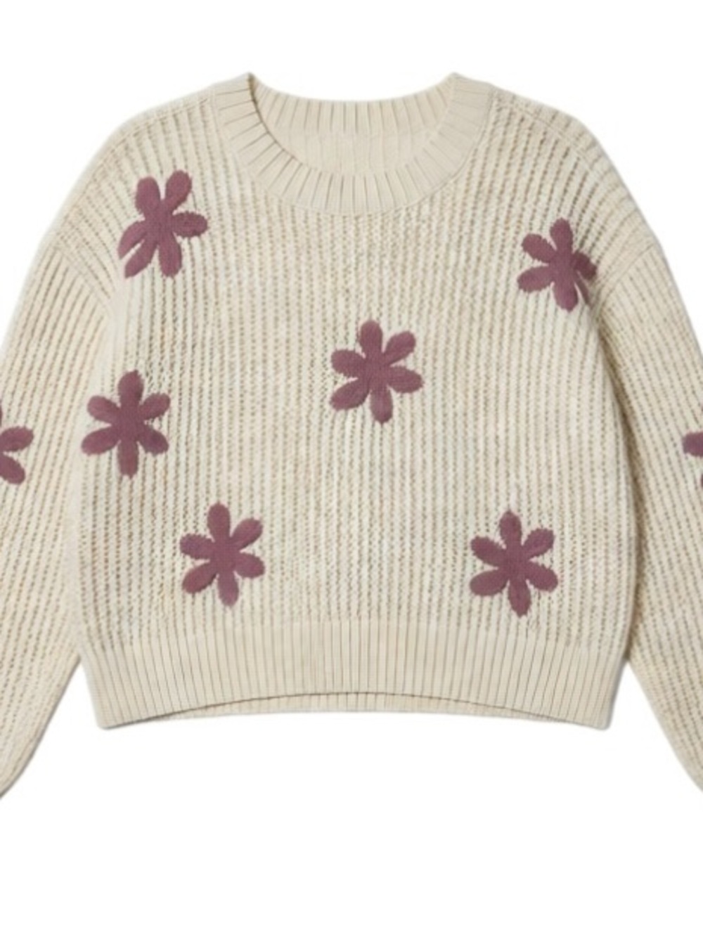 Crewneck Sweater with Mauve Floral Appliqués - Cream